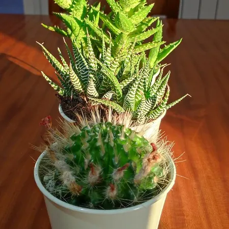 Attico Napraia 公寓 蒙托伯里茵瓦亚