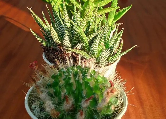 Attico Napraia Apartamento Montopoli in Val dʼArno