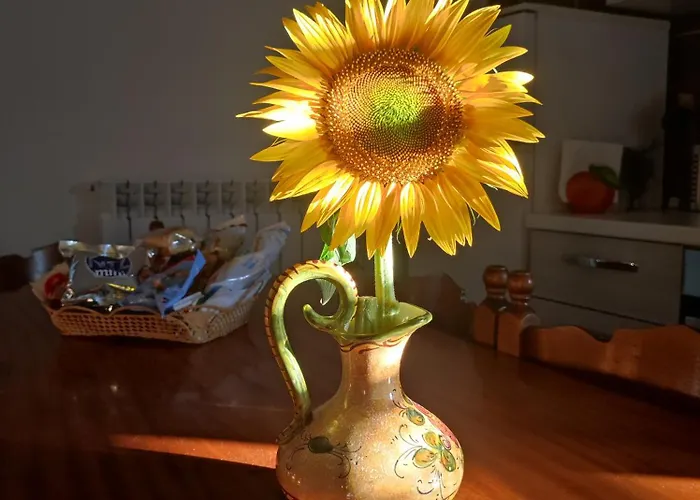 Apartamento Attico Napraia Montopoli in Val dʼArno