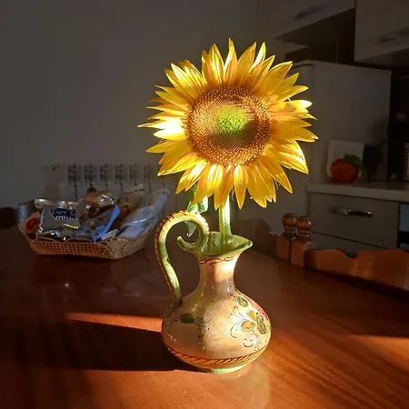 Apartamento Attico Napraia Montopoli in Val dʼArno